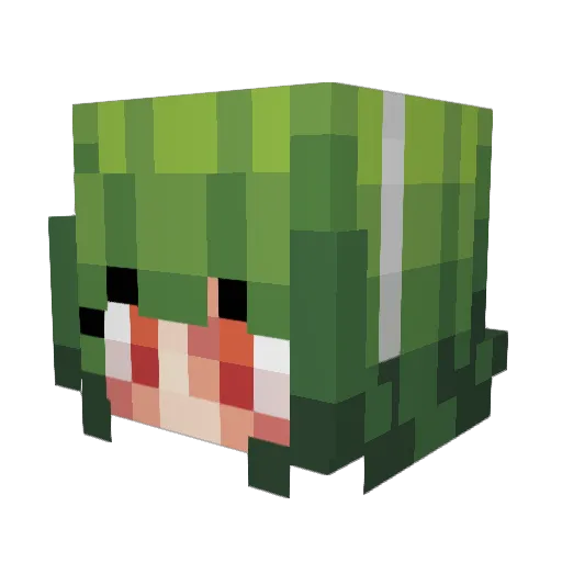 flowtiives Minecraft avatar head, 3D render