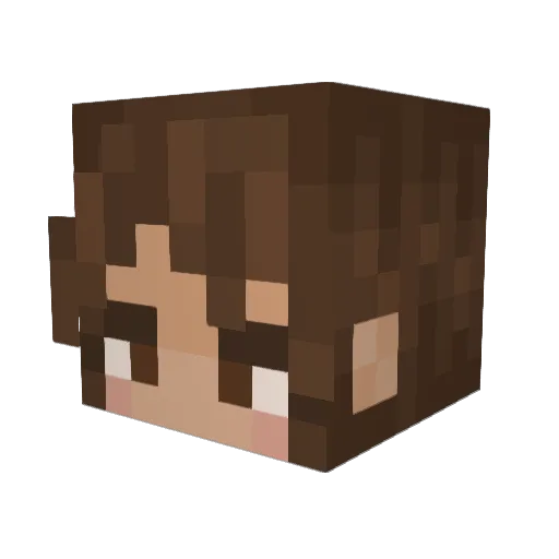 flowwwer101 Minecraft avatar head, 3D render