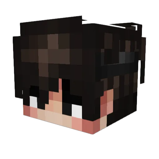 flowxl Minecraft avatar head, 3D render