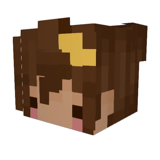 floydleechwife Minecraft avatar head, 3D render