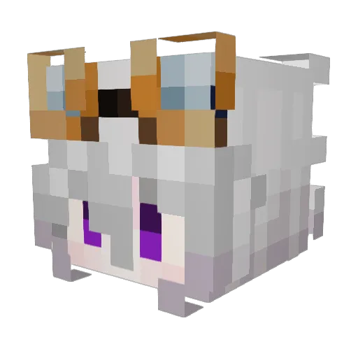 flp123456234 Minecraft avatar head, 3D render