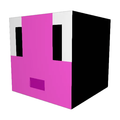 flpwplwplaplwpla Minecraft avatar head, 3D render