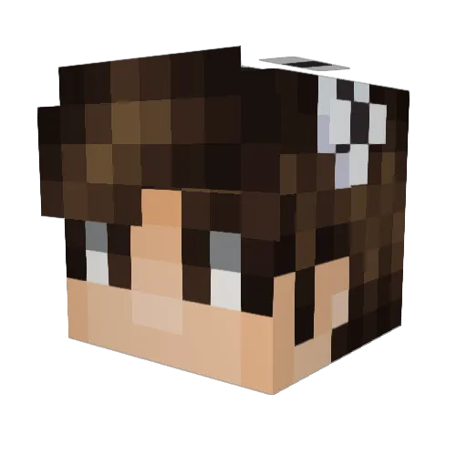 flqwlessed Minecraft avatar head, 3D render