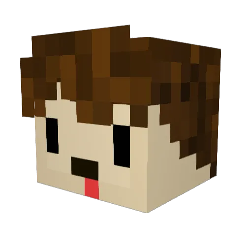 fluFfy3003 Minecraft avatar head, 3D render