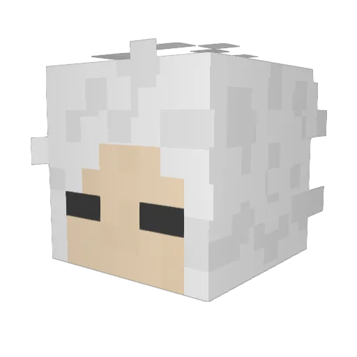 flu_ffy Minecraft avatar head, 3D render