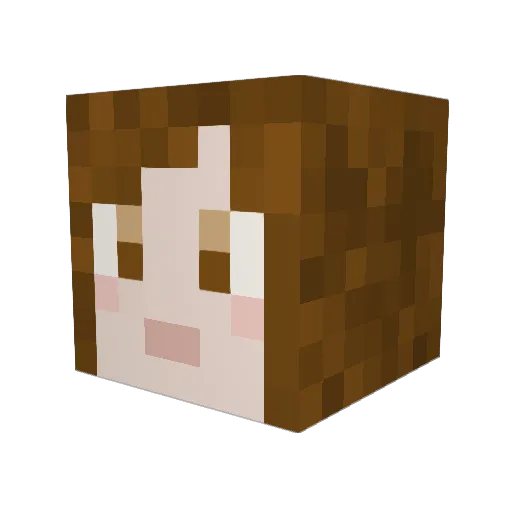 flubberducky Minecraft avatar head, 3D render