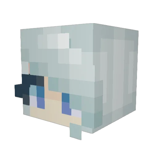 fluff_pusheen Minecraft avatar head, 3D render
