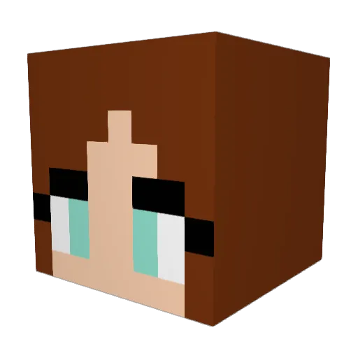 fluffecat Minecraft avatar head, 3D render