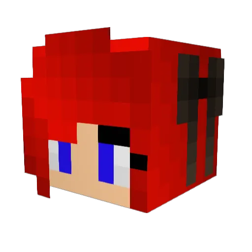 fluffer2004 Minecraft avatar head, 3D render