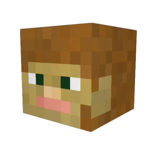 flufffychickens Minecraft avatar head, 3D render