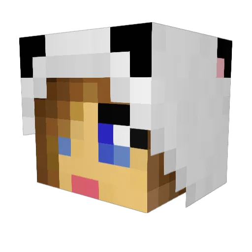 flufflypanda27 Minecraft avatar head, 3D render