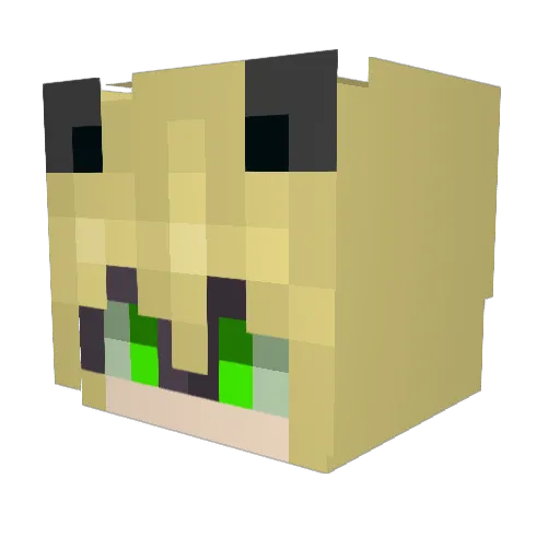 fluffocat Minecraft avatar head, 3D render