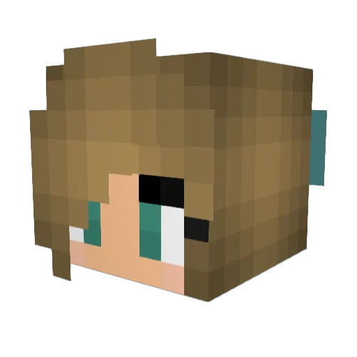 fluffthebunny Minecraft avatar head, 3D render