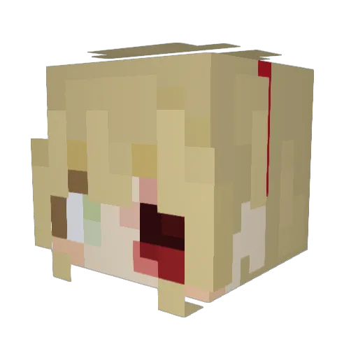fluffy_b33 Minecraft avatar head, 3D render