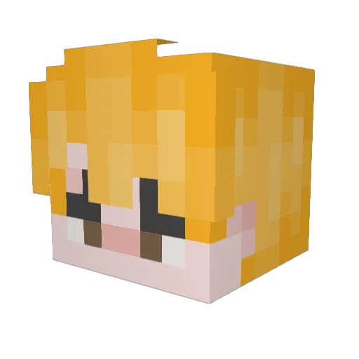 fluffy_chocolate Minecraft avatar head, 3D render