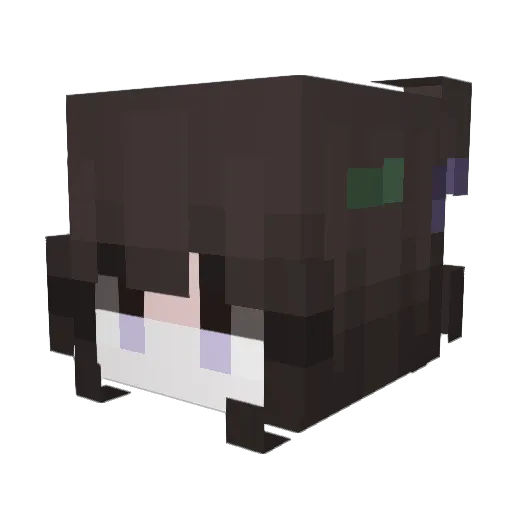 Minecraft-Avatar von fluffyathome: Kopf als 3D-Render