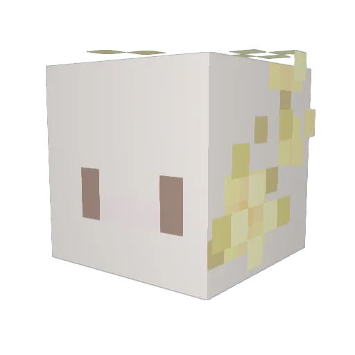 fluffyavocado Minecraft avatar head, 3D render