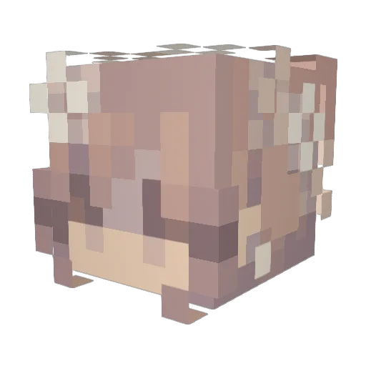 fluffybugs Minecraft avatar head, 3D render