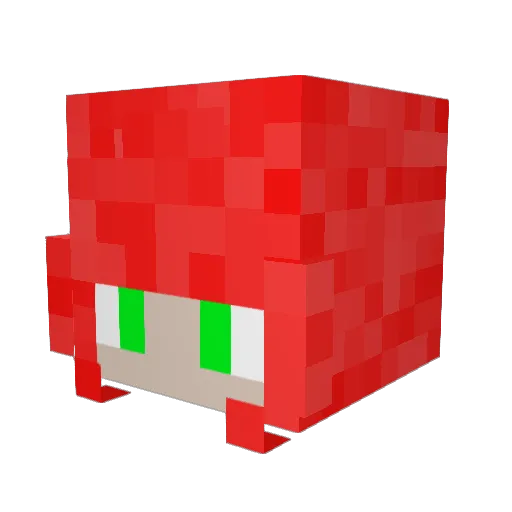 fluffycat797 Minecraft avatar head, 3D render