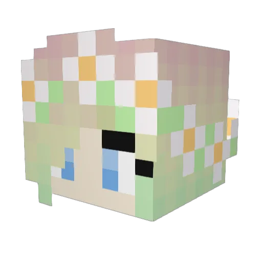 fluffycookie1 Minecraft avatar head, 3D render
