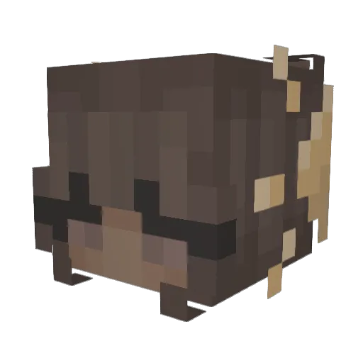 fluffyfish20 Minecraft avatar head, 3D render