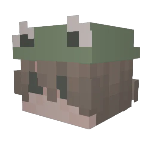 fluffyhake Minecraft avatar head, 3D render