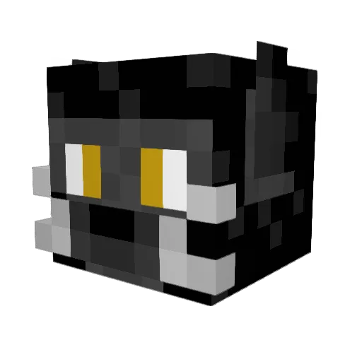 fluffykitty2767 Minecraft avatar head, 3D render