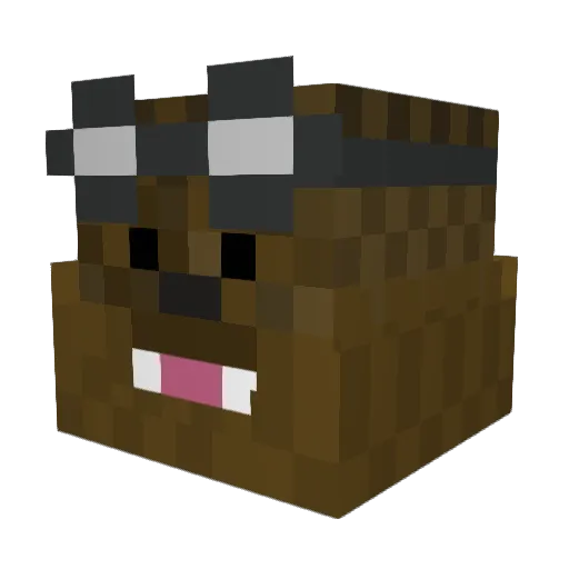 fluffyman835 Minecraft avatar head, 3D render
