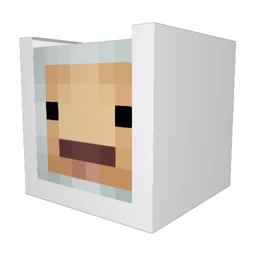 fluffymcfluffle Minecraft avatar head, 3D render