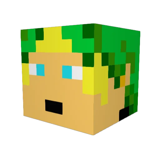 fluffyninja2 Minecraft avatar head, 3D render