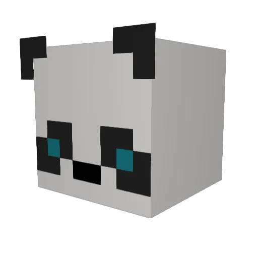 fluffypanda312 Minecraft avatar head, 3D render