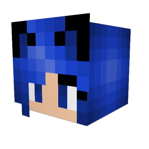 fluffypie124 Minecraft avatar head, 3D render