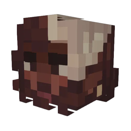 fluffypuppy2122 Minecraft avatar head, 3D render