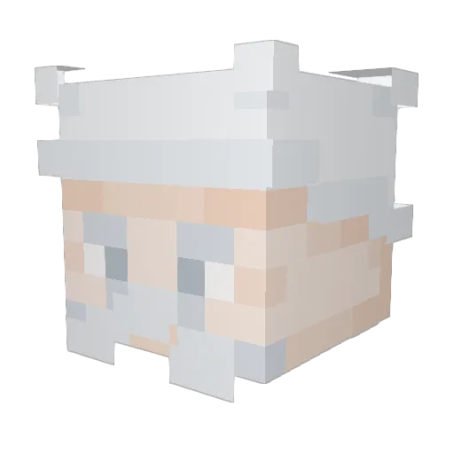 fluffysheep111 Minecraft avatar head, 3D render