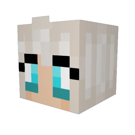 fluffyskiwi Minecraft avatar head, 3D render