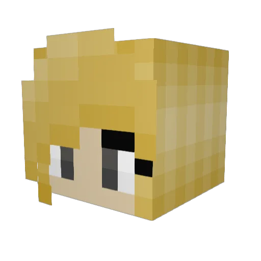 fluffythebun Minecraft avatar head, 3D render