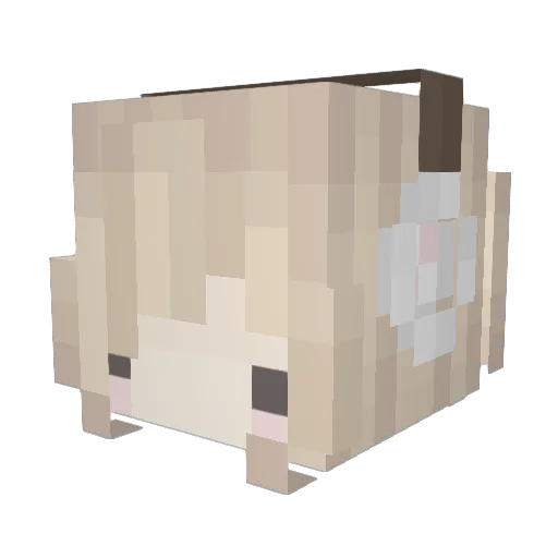 fluffywaffle__ Minecraft avatar head, 3D render