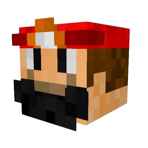 flukebag Minecraft avatar head, 3D render