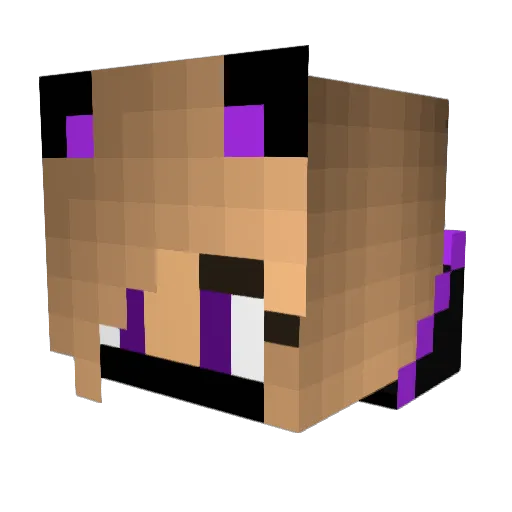 flukeyparrot3 Minecraft avatar head, 3D render