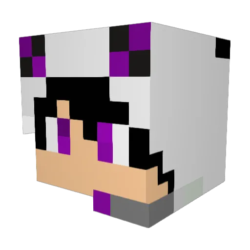 fluminox05 Minecraft avatar head, 3D render