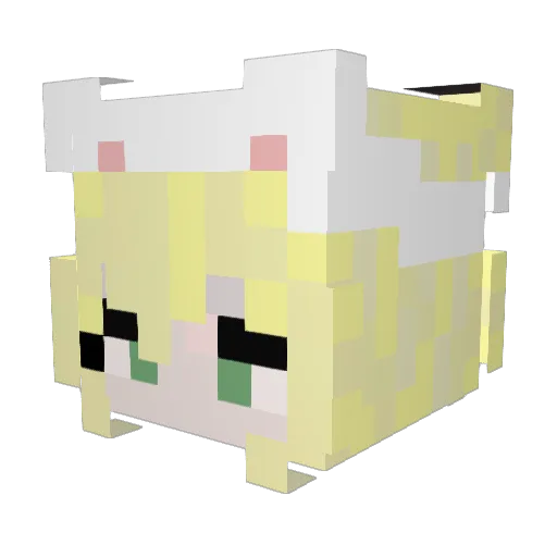 fluqqee Minecraft avatar head, 3D render