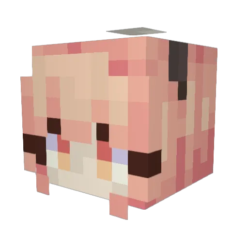flushedpancake Minecraft avatar head, 3D render