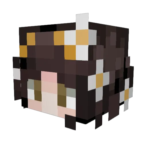 flushness Minecraft avatar head, 3D render