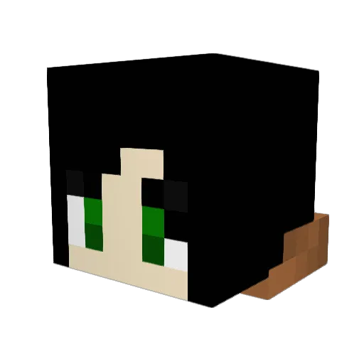 fluteninja12 Minecraft avatar head, 3D render