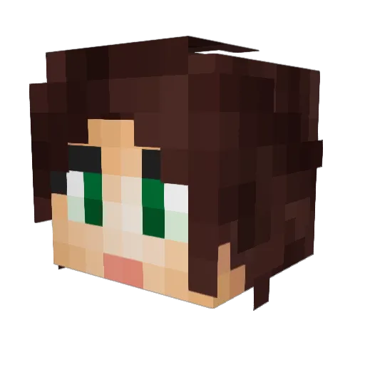 flutterby16 Minecraft avatar head, 3D render