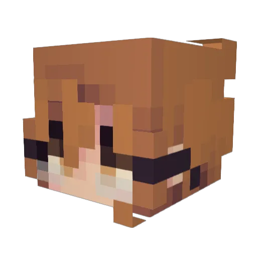 fluttershies Minecraft avatar head, 3D render