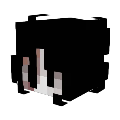 fluttershyxX Minecraft avatar head, 3D render