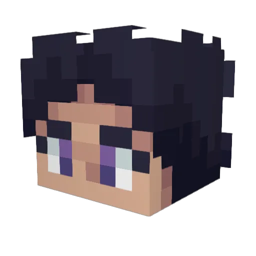 fluxie31 Minecraft avatar head, 3D render