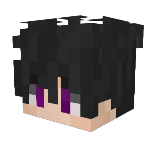 fluxion_myst Minecraft avatar head, 3D render
