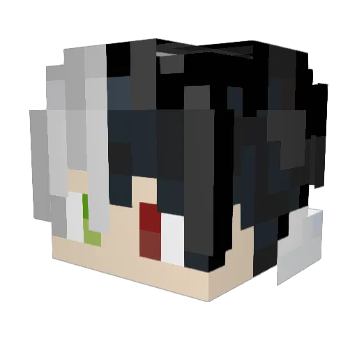 fluxy1706 Minecraft avatar head, 3D render